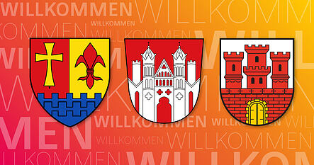 Stadt Höxter, Stadt Steinheim und die Orgelstadt Borgentreich arbeiten seit dem 01.01.2021 mit infoma newsystem