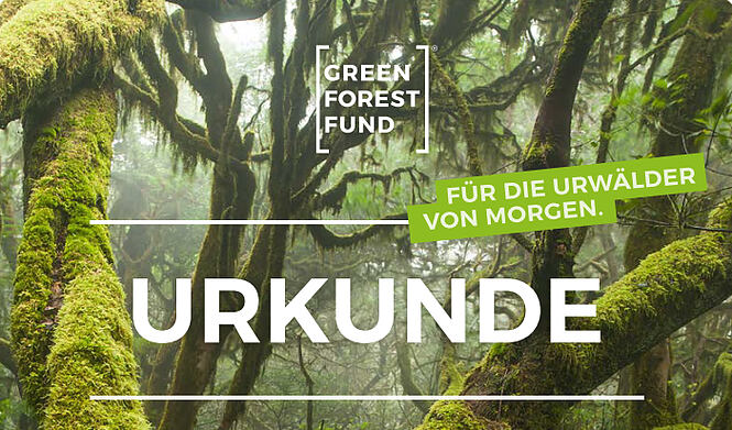 Zweite Axians Infoma Baumpflanzaktion mit Kunden