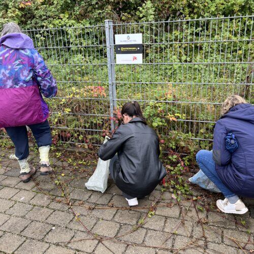 VINCI Umwelttag 2024