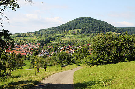 Blick auf die Gemeinde Bad Boll: Ein Weg führt durch eine Wiese hinunter in den Ort – Symbolbild für den Weg in die digitale Zukunft und den Wechsel zu Infoma Online in die Cloud