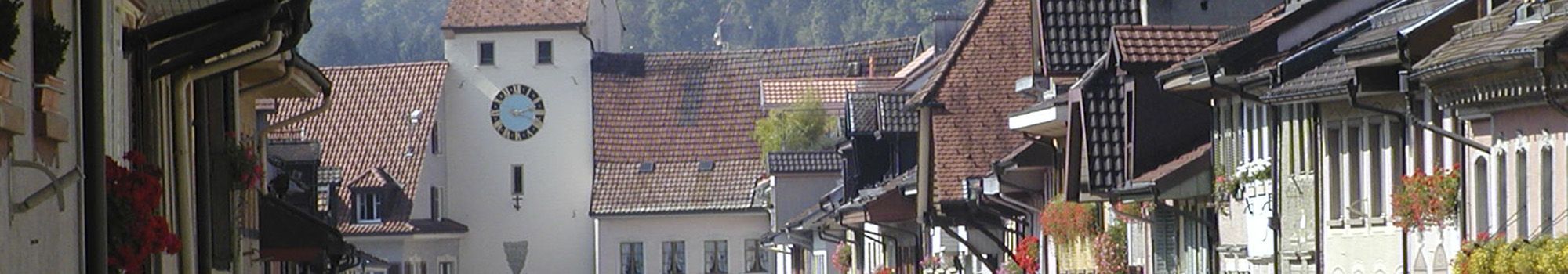 Referenzbericht Stadt Waldshut-Tiengen